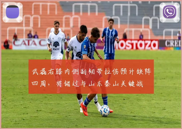 武磊右膝内侧副韧带拉伤预计缺阵四周，将错过与山东泰山关键战